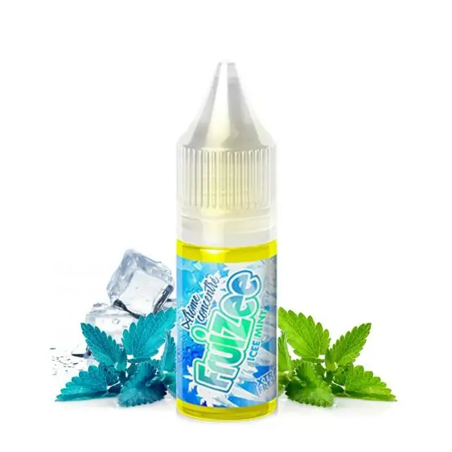 Concentré Icee Mint - Fruizee