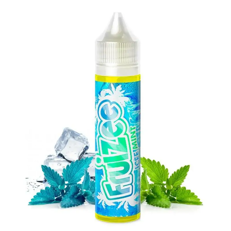 Icee Mint 50ml - Fruizee